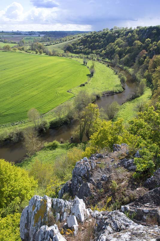 ©D.Drouet-site de Courossé 2